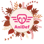 logo anidef